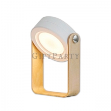 Portable folding LED lantern light