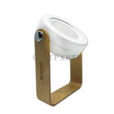 Portable folding LED lantern light