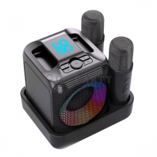 Karaoke Machine with 2 Mics RGB Lighting